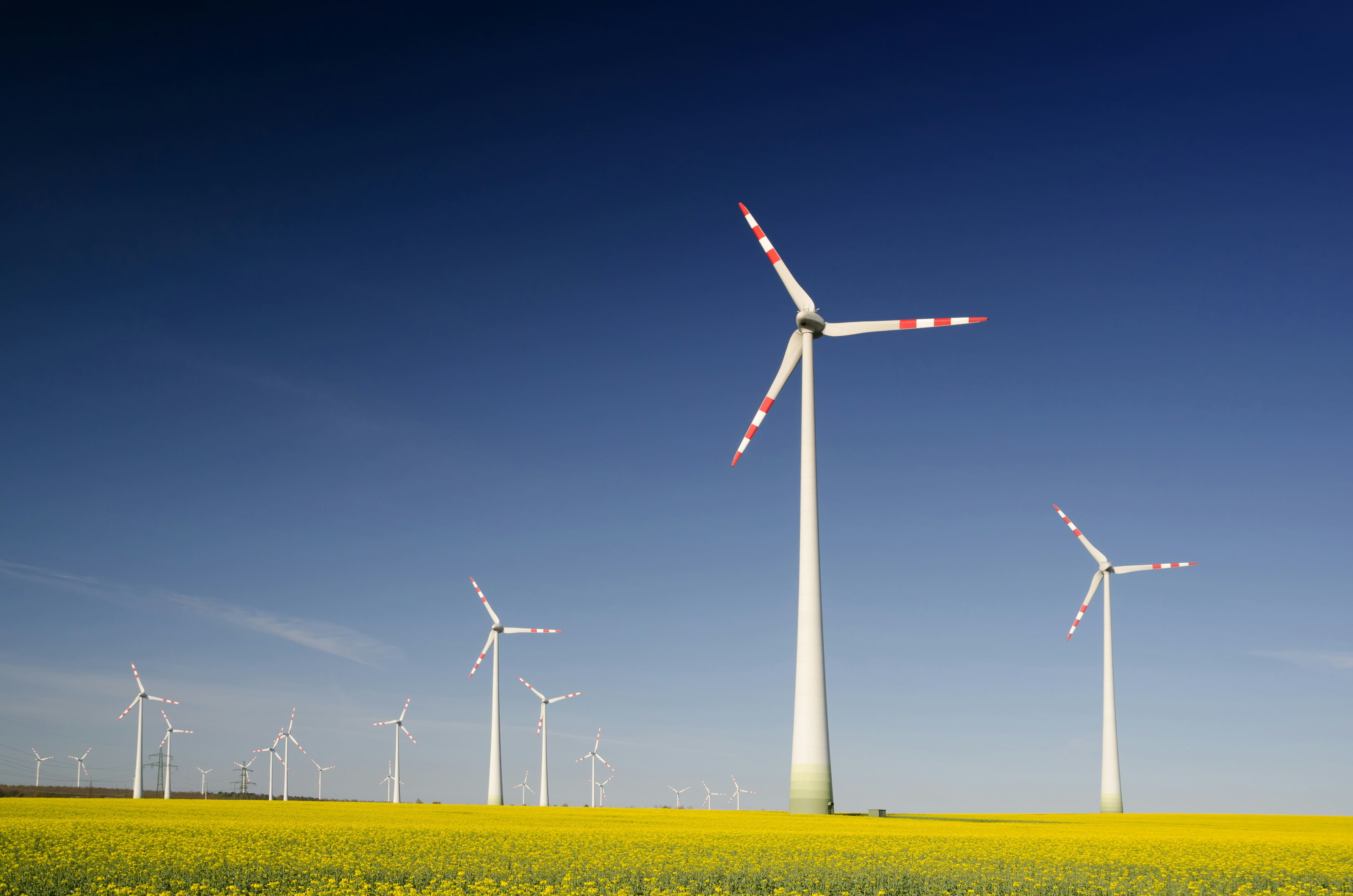 Energy infrastructure executive search in Florida, Texas, and California